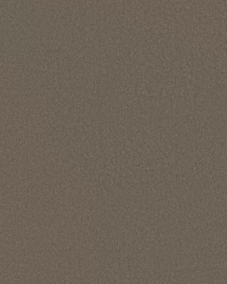 Smooth Tone Ridgeline 58oz Textured Pet Friendly Carpet