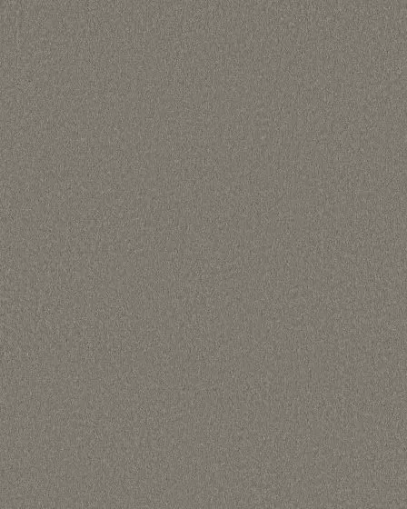 Smooth Tone Driftwood 58oz Textured Pet Friendly Carpet