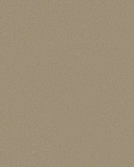 Smooth Tone Mirage 58oz Textured Pet Friendly Carpet