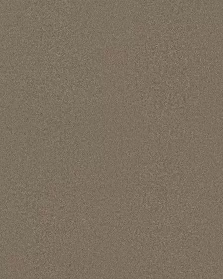 Smooth Tone Natural Stone 58oz Textured Pet Friendly Carpet