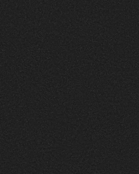 Smooth Tone After Dark 58oz Textured Pet Friendly Carpet