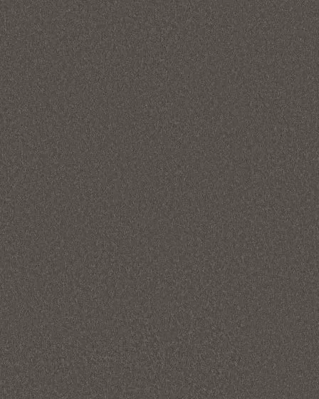 Smooth Tone Night Owl 58oz Textured Pet Friendly Carpet