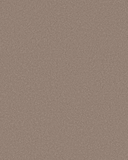 Smooth Tone Blissful Blush 58oz Textured Pet Friendly Carpet