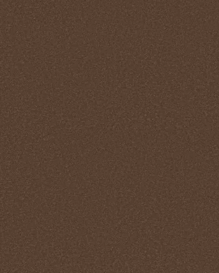 Smooth Tone Warm Sunset 58oz Textured Pet Friendly Carpet