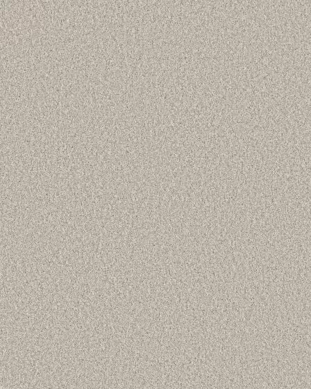 Timeless Tone Minimalist 58oz Textured Pet Friendly Carpet