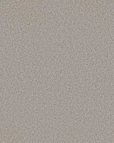 Timeless Tone Distant Star 58oz Textured Pet Friendly Carpet