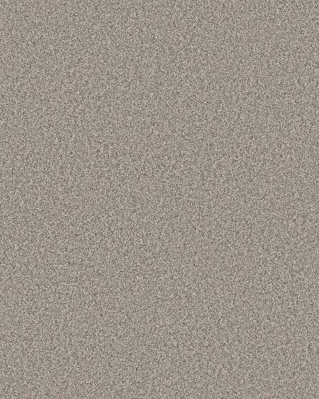 Timeless Tone Gateway Grey 58oz Textured Pet Friendly Carpet