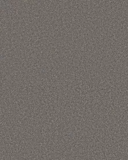 Timeless Tone Mysterious 58oz Textured Pet Friendly Carpet