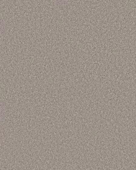 Timeless Tone Latte 58oz Textured Pet Friendly Carpet