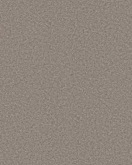 Timeless Tone Ridgeline 58oz Textured Pet Friendly Carpet