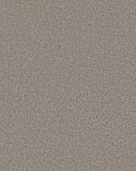 Timeless Tone Driftwood 58oz Textured Pet Friendly Carpet