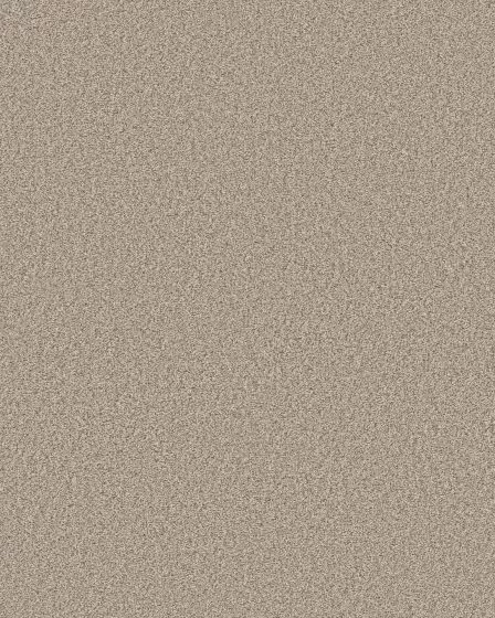 Timeless Tone Mirage 58oz Textured Pet Friendly Carpet