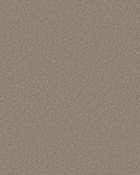 Timeless Tone Natural Stone 58oz Textured Pet Friendly Carpet