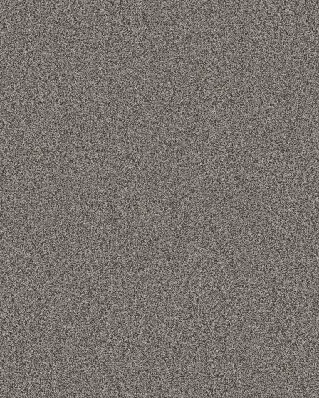 Timeless Tone After Dark 58oz Textured Pet Friendly Carpet