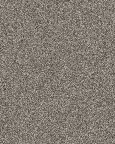 Timeless Tone Night Owl 58oz Textured Pet Friendly Carpet