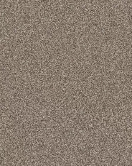 Timeless Tone Warm Sunset 58oz Textured Pet Friendly Carpet