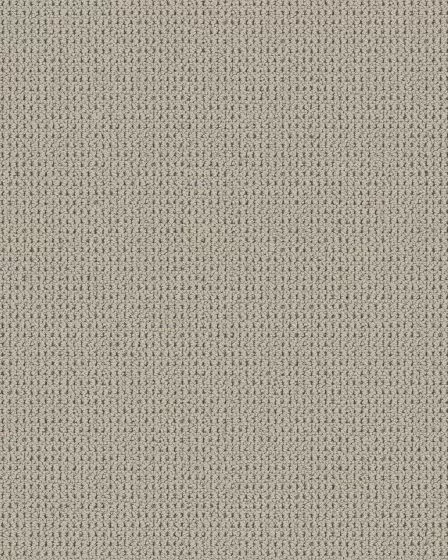 Knitted Tone Distant Star 40oz Patterned Loop Pet Friendly Carpet