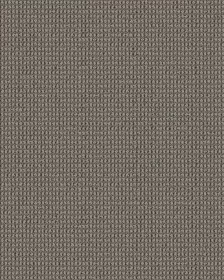 Knitted Tone Magnetic 40oz Patterned Loop Pet Friendly Carpet