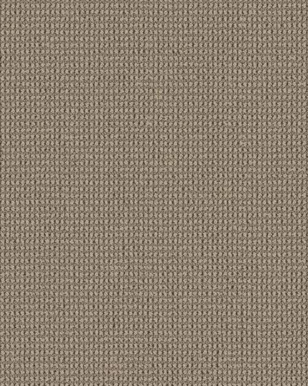 Knitted Tone Latte 40oz Patterned Loop Pet Friendly Carpet