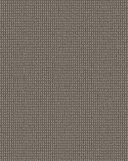 Knitted Tone Driftwood 40oz Patterned Loop Pet Friendly Carpet