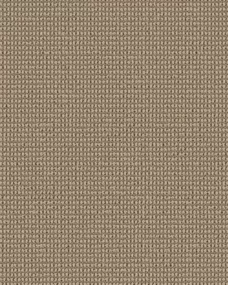 Knitted Tone Mirage 40oz Patterned Loop Pet Friendly Carpet