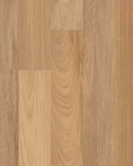 Brasilia Barrel 7.5" Brazilian Oak Hardwood