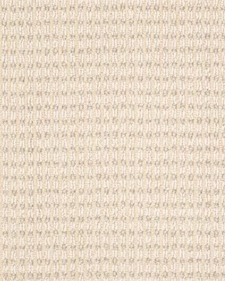 Abbeys Road Pattern Pet Friendly Carpet