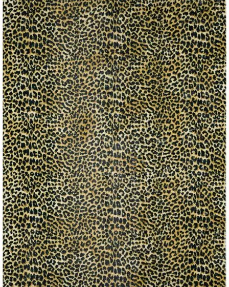 Akina AK2 Gold Area Rug