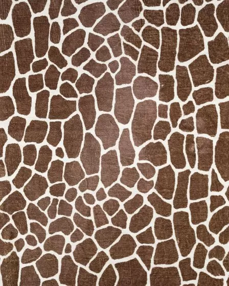 Akina AK4 Chocolate Area Rug