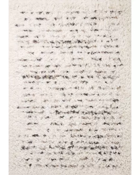 Amira AMI-03 Ivory/Multi Area Rug