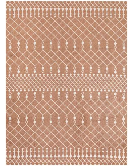 Astra Machine Washable ASW10 Copper Area Rug