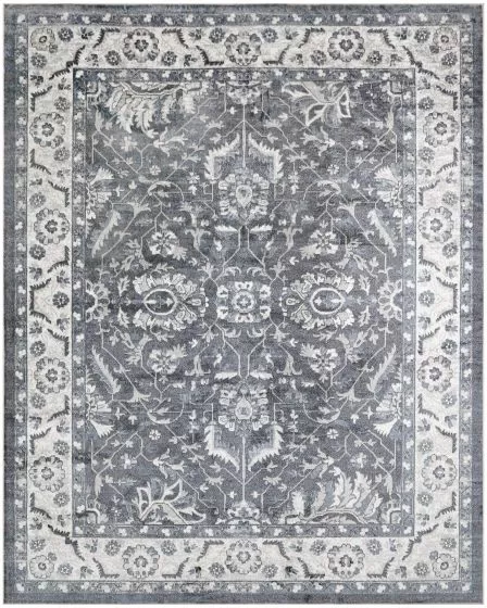 Astra Machine Washable ASW20 Slate 3'3"x5' Area Rug