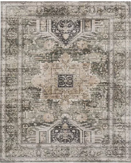 Augustine 39TVF Green/Black/Tan Area Rug