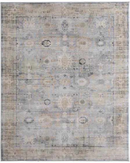 Augustine 39TZF Blue/Ivory/Tan Area Rug