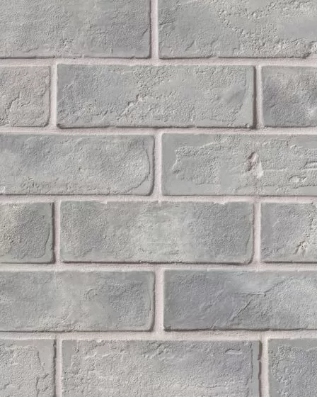 Avondale Sidewalk Matte Brick 2"x8" Tile