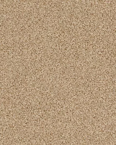 Bali Nylon Textured 48oz Carpet