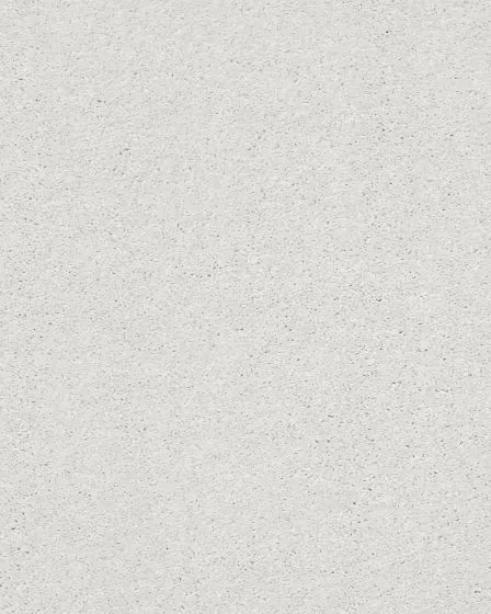 Basic Rules Mist Carpet