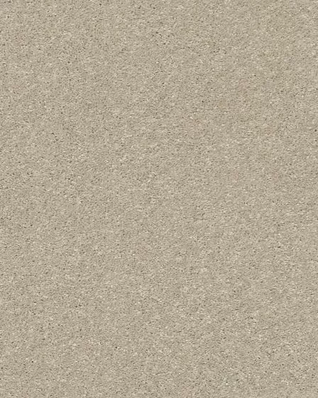 Basic Rules 58oz Textured Pet Friendly Carpet