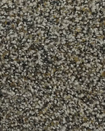 Bright Charisma SmartStrand Textured Carpet