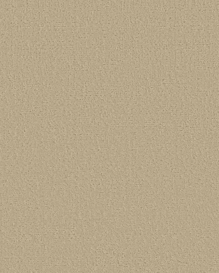 Canvas Comfort Textured Nylon 43oz Carpet