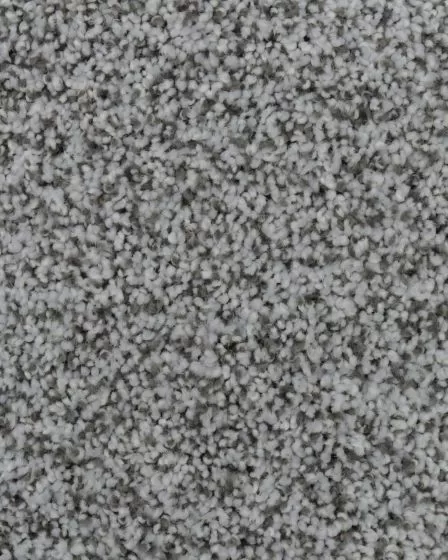 Captivating Grace Alpine Bay Carpet