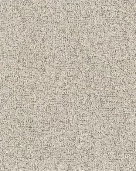 Carte Blanche Pet Friendly 43oz Pattern Carpet