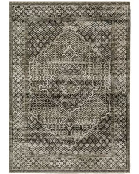 Chamberlain ch02d Grey/Beige