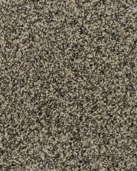Charming Interest SmartStrand Silk Carpet