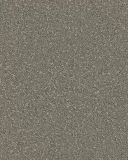 Charming Concept Fallen Acorn 34oz Patterned Pet Friendly Carpet