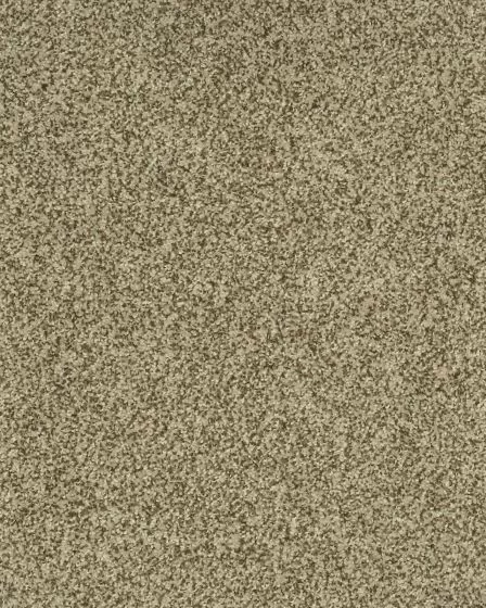 Cherished Tradition Kashmere Nylon Carpet