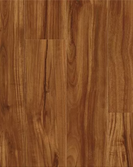 Cali Windansea High Tide Classic Acacia Vinyl