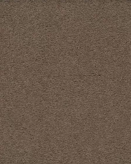 Classical Approach SmartStrand 70oz Carpet