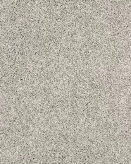 Claws and Effect I 43oz Pet Friendly Carpet