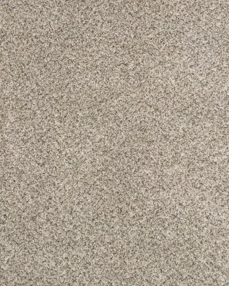 Claws and Effect II 58oz Pet Friendly Carpet